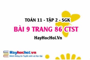 Bài 9 trang 86 Toán 11 tập 2 Chân trời sáng tạo
